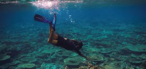 В 1995 году пара построила свой первый эко-курорт Soneva Fushi на Мальдивах