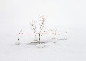 Будущее было