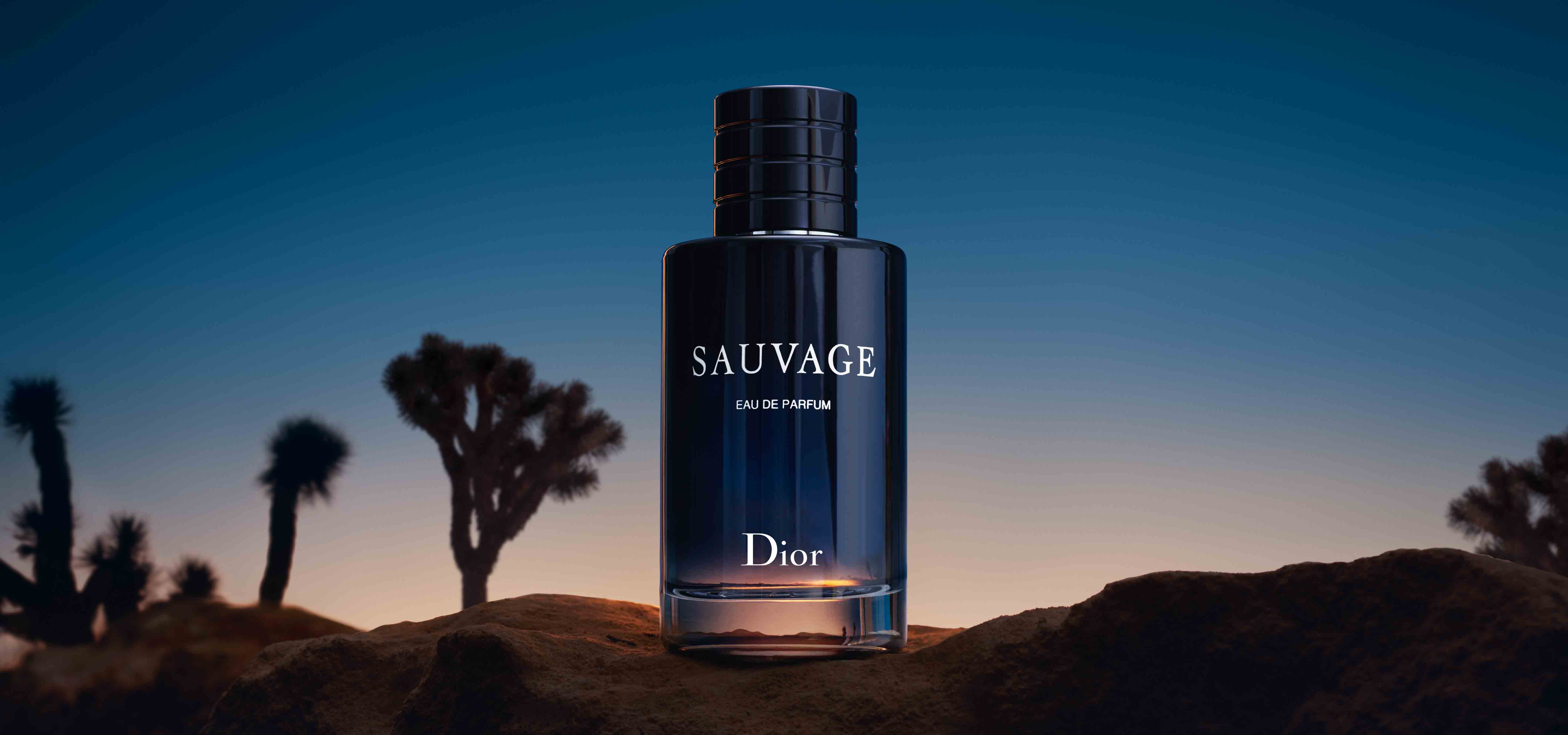 Dior sauvage. Dior sauvage Eau de Parfum 100ml New 2018г. Christian Dior sauvage. Dior sauvage EDP. 473 - Dior - sauvage.